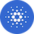 ADA icon