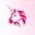 UNI-INR icon
