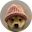 WIF-INR icon
