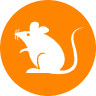 1000RATS