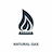 NATGAS icon