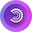 PARTI-INR icon