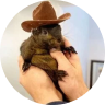 PNUT