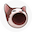 POPCAT-INR icon