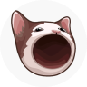 POPCAT