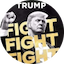 TRUMP icon