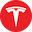 TSLA-INR icon