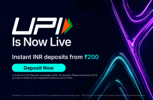 UPI Payments on Pi42 Web