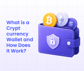 What is a Crypto Wallet