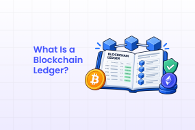 what is a blockchain ledger