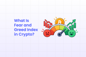 What Is Fear and Greed Index