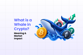 what is whale in crypto